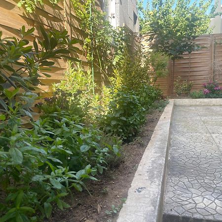 אלכסנדרופולי B1 Luxury Studio מראה חיצוני תמונה